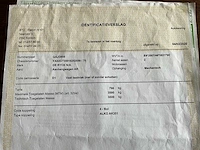 2016 de ryck dc aanhangwagen 3500kg - afbeelding 11 van  19
