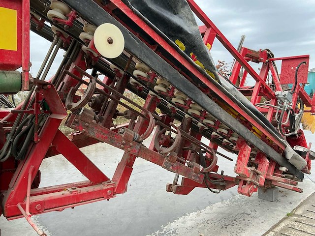 2018 verhoest preirooier - afbeelding 2 van  16