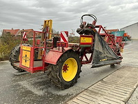 2018 verhoest preirooier - afbeelding 10 van  16