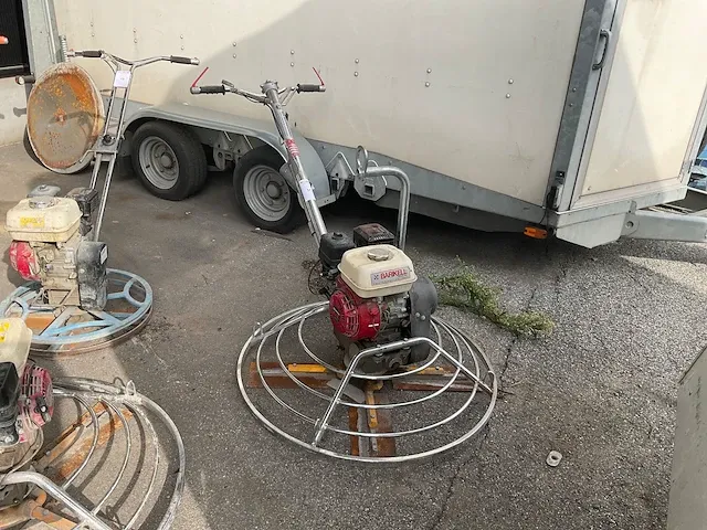 2019 barikell 3103g cementvlinder - afbeelding 2 van  6