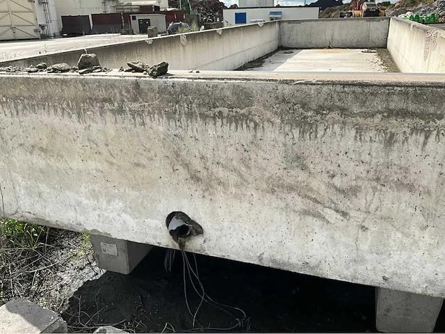 2019 bilanciai dd700 weegbrug compleet - afbeelding 10 van  14