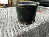 2019 buitenpot (24000x) - afbeelding 1 van  6