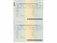 2019 goupil g2 kipper lithium - afbeelding 14 van  21