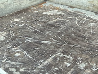 2019 hendra kp3 - afbeelding 2 van  35