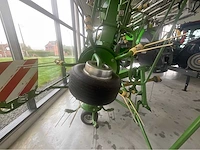 2019 krone k7.92/8 getrokken schudder overige landbouwmachines - afbeelding 2 van  14