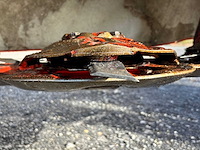 2019 kuhn gmd4411-ff magere hein - afbeelding 2 van  35