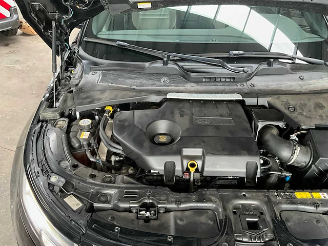 2019 land rover range evoque - personenauto - afbeelding 10 van  55