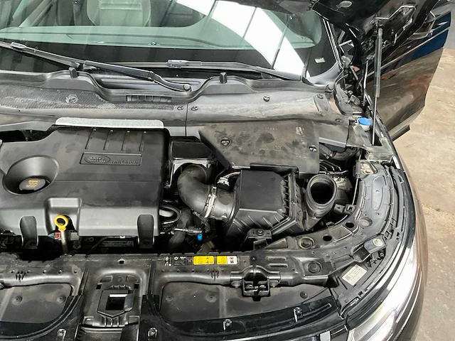 2019 land rover range evoque - personenauto - afbeelding 11 van  55
