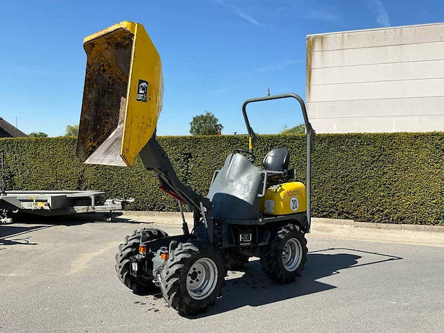 2021 wacker neuson 1001 d01-04 dumper - afbeelding 15 van  27