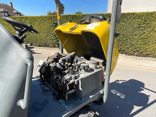 2021 wacker neuson 1001 d01-04 dumper - afbeelding 20 van  27
