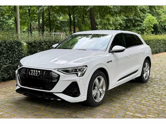 2022 audi 50 e-tron quattro s-line - afbeelding 1 van  30