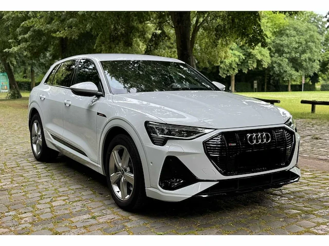 2022 audi 50 e-tron quattro s-line - afbeelding 12 van  30