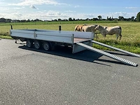 2024 niewiadow br3 aanhangwagen - afbeelding 12 van  22