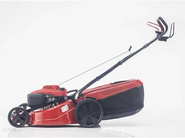 2024 solo 5231 spa nieuwe benzine grasmaaier met garantie - afbeelding 3 van  4