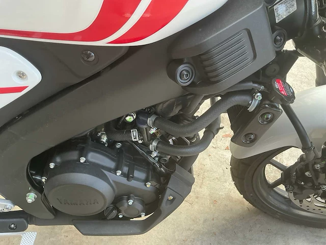 2024 yamaha xsr125 mtm125-c - afbeelding 11 van  31