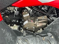 2025 cf moto 110cc demo quad - afbeelding 2 van  13