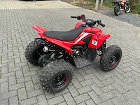 2025 cf moto 110cc demo quad - afbeelding 9 van  13