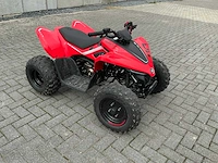 2025 cf moto 110cc demo quad - afbeelding 11 van  13