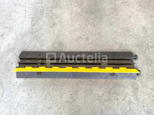 20x kabelbrug met klep en 2 kanalen 100x250x45mm - afbeelding 1 van  7