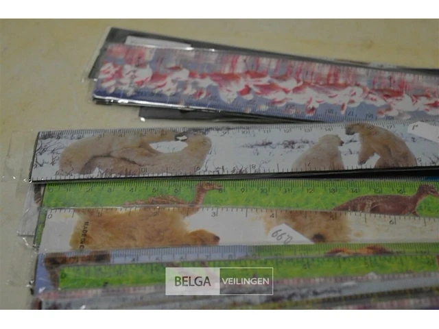±20x latten 30cm - afbeelding 2 van  3
