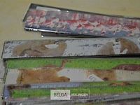 ±20x latten 30cm - afbeelding 2 van  3