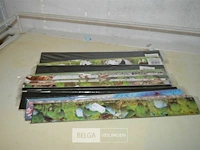 ±20x latten 30cm - afbeelding 1 van  3