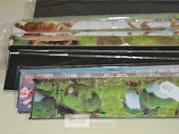 ±20x latten 30cm - afbeelding 2 van  3
