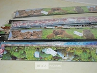 ±20x latten 30cm - afbeelding 3 van  3