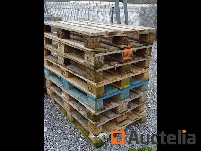 22 (+/-) euro en andere type pallets - afbeelding 1 van  5