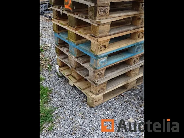 22 (+/-) euro en andere type pallets - afbeelding 4 van  5