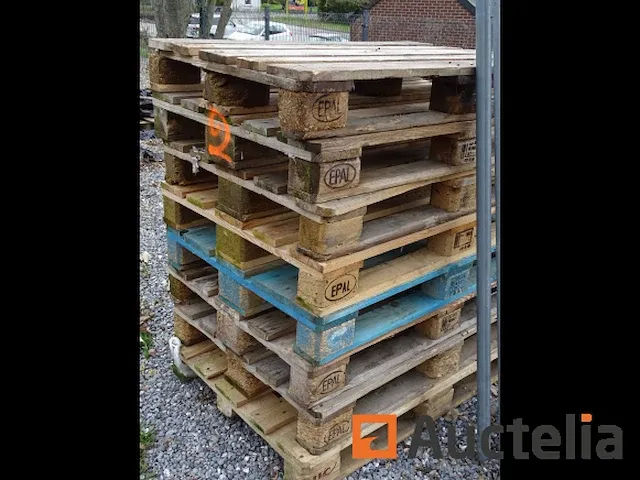 22 (+/-) euro en andere type pallets - afbeelding 5 van  5