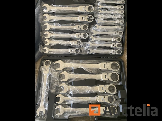 22 delige flexibele ringratel-steeksleutel set 6-32mm - afbeelding 1 van  7