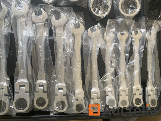 22 delige flexibele ringratel-steeksleutel set 6-32mm - afbeelding 2 van  7