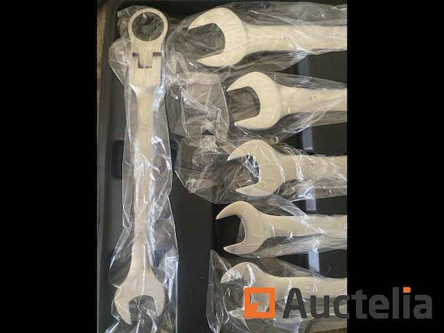 22 delige flexibele ringratel-steeksleutel set 6-32mm - afbeelding 3 van  7