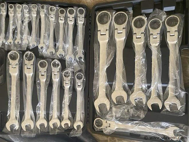 22 delige flexibele ringratel-steeksleutelset 6-32 mm - afbeelding 1 van  6