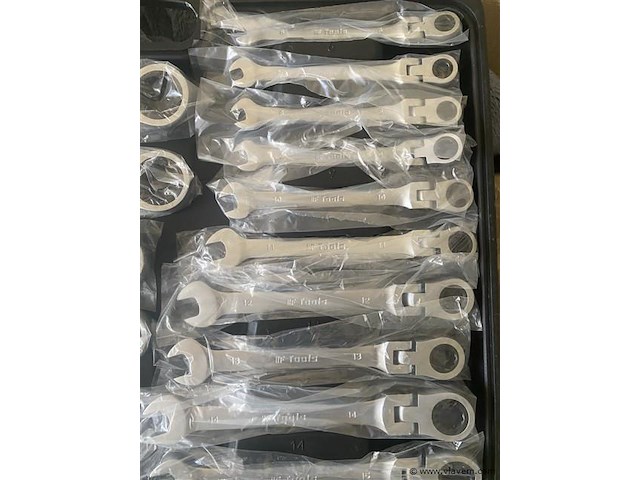 22 delige flexibele ringratel-steeksleutelset - afbeelding 3 van  6