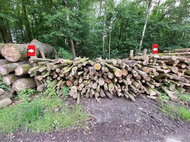 22 stère beuk - afbeelding 1 van  1
