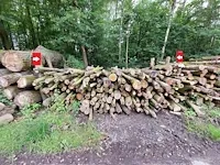 22 stère beuk - afbeelding 1 van  1