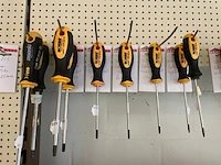 22 torx schroevendraaiers