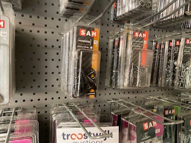 225blisters bevestigingsmaterialen - afbeelding 10 van  12