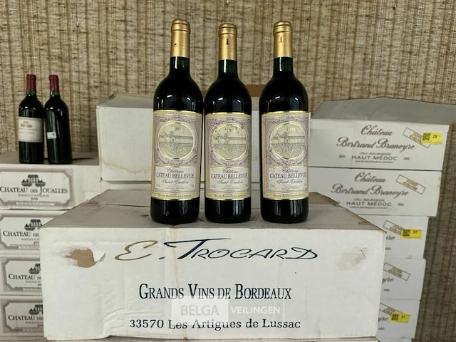 24 flessen2x 1 doos chateau cateau bellevue saint emilion 1998 - afbeelding 1 van  4