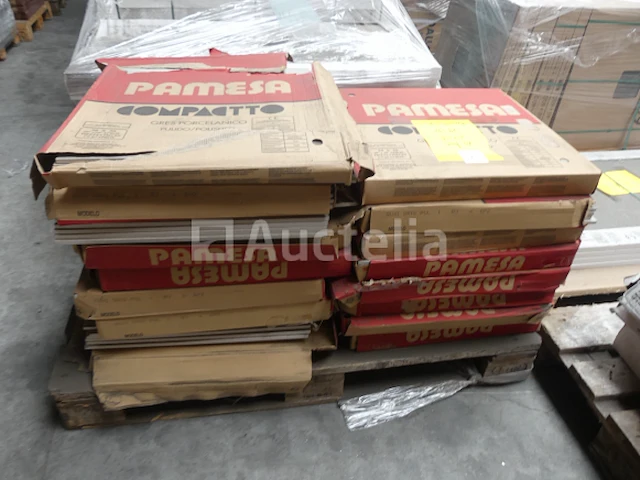 24 m² pamesa porseleinen tegels - afbeelding 1 van  6