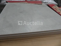 24 m² pamesa porseleinen tegels - afbeelding 3 van  6