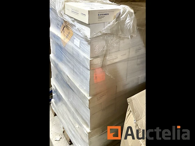24 pakjes steinbeis a4 n4 doos van 2500 vellen, eco, 100% gerecycled - afbeelding 10 van  15