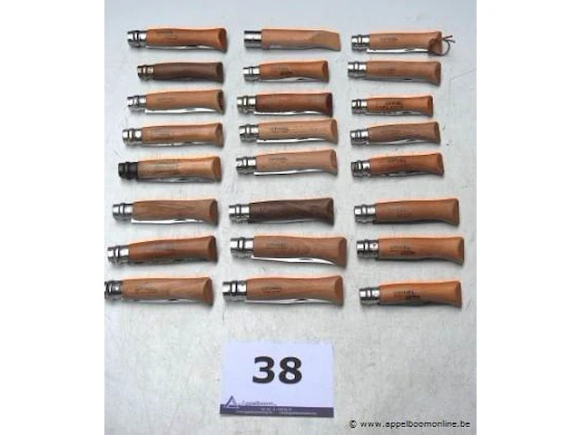 24 zakmessen opinel - afbeelding 1 van  3