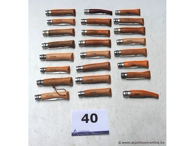 24 zakmessen opinel - afbeelding 1 van  3
