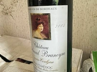 24x1 fles chateau bertrand braneyre 2005 - afbeelding 4 van  6