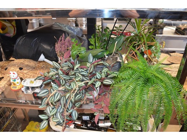 25 diverse sierstukken - afbeelding 7 van  7