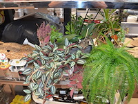 25 diverse sierstukken - afbeelding 7 van  7