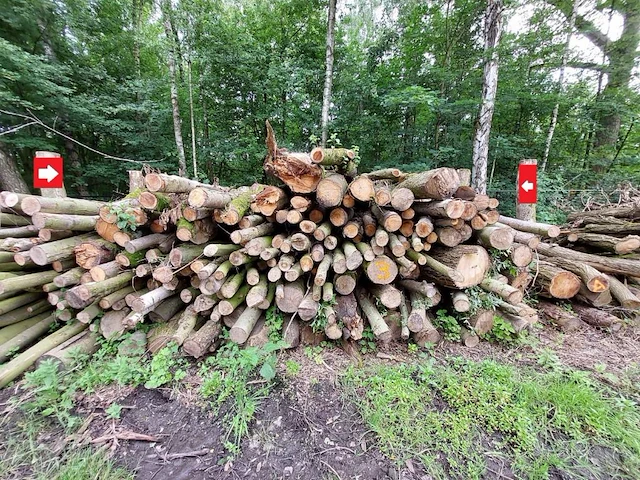 25 stère mix hardhout - afbeelding 1 van  1